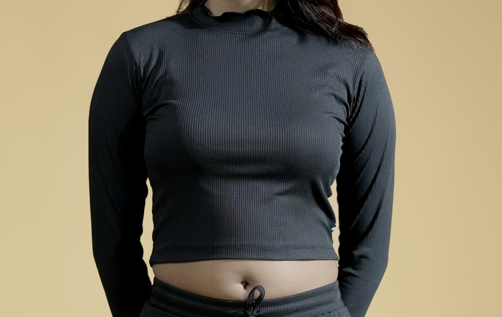 Midnight Ash Full Sleeves Mock Neck Fitted Crop Top